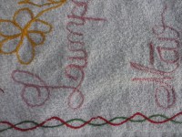 /album/galeria-de-fotos/cam00178-jpg1/