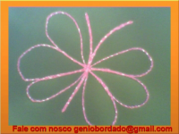 /album/galeria-de-fotos/nve00019-png/