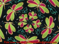 /album/galeria-de-fotos/nve00039-png/